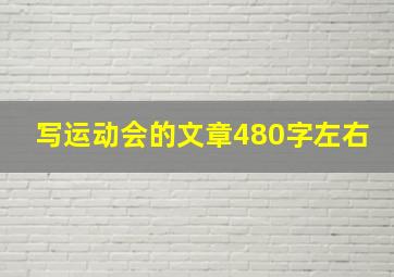 写运动会的文章480字左右