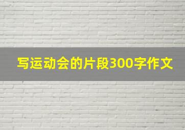 写运动会的片段300字作文