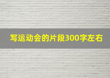 写运动会的片段300字左右