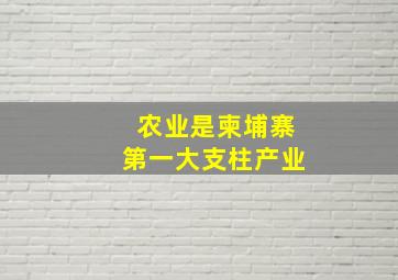 农业是柬埔寨第一大支柱产业