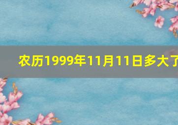 农历1999年11月11日多大了