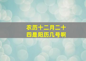 农历十二月二十四是阳历几号啊