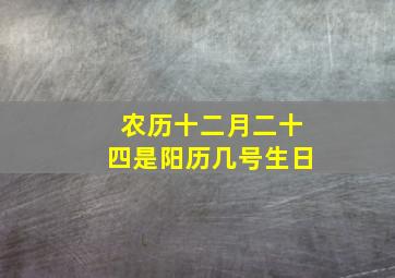 农历十二月二十四是阳历几号生日