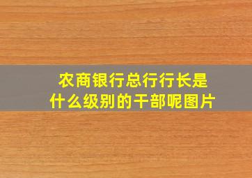 农商银行总行行长是什么级别的干部呢图片