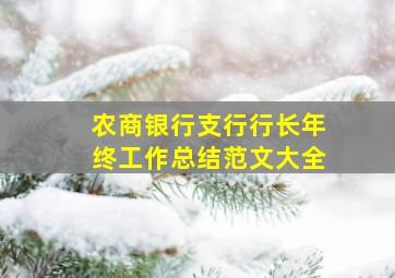 农商银行支行行长年终工作总结范文大全