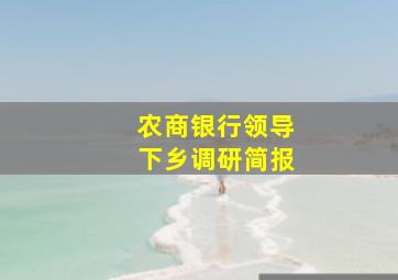 农商银行领导下乡调研简报