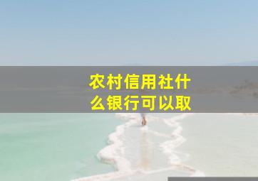 农村信用社什么银行可以取