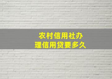 农村信用社办理信用贷要多久