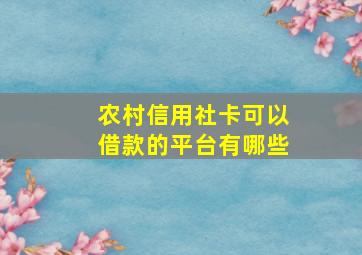 农村信用社卡可以借款的平台有哪些