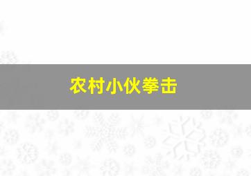 农村小伙拳击