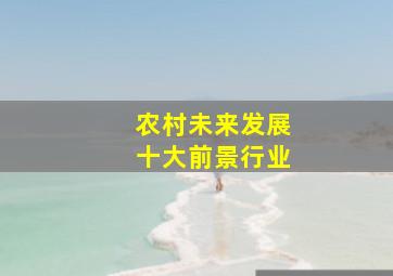 农村未来发展十大前景行业