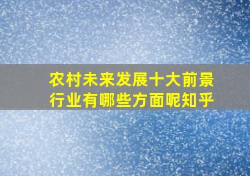 农村未来发展十大前景行业有哪些方面呢知乎