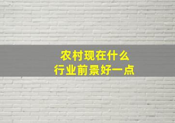 农村现在什么行业前景好一点