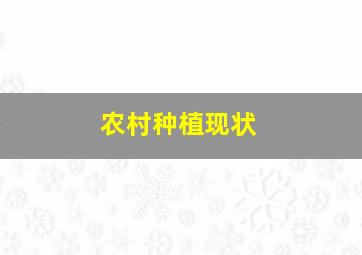 农村种植现状