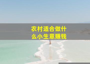 农村适合做什么小生意赚钱