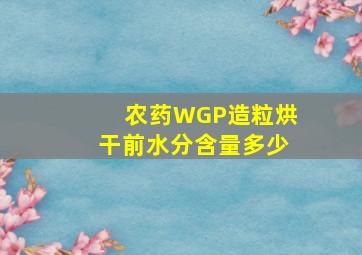 农药WGP造粒烘干前水分含量多少