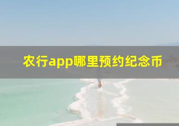 农行app哪里预约纪念币