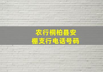 农行桐柏县安棚支行电话号码