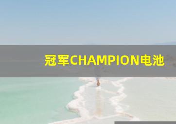 冠军CHAMPION电池