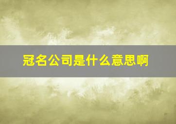 冠名公司是什么意思啊