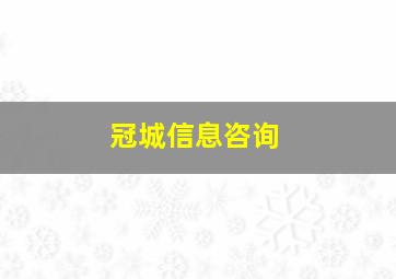 冠城信息咨询