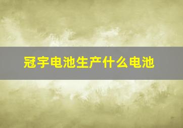 冠宇电池生产什么电池