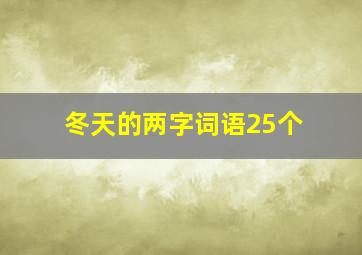 冬天的两字词语25个