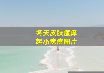 冬天皮肤瘙痒起小疙瘩图片