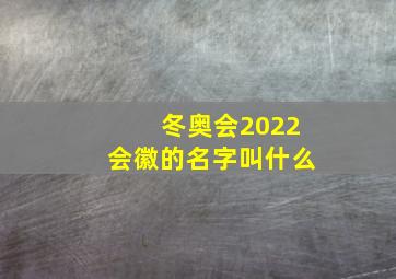 冬奥会2022会徽的名字叫什么