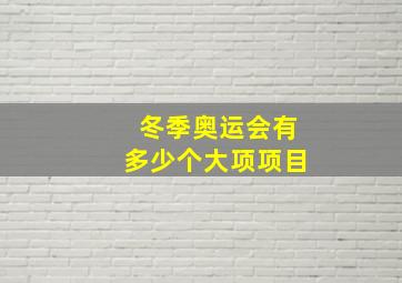 冬季奥运会有多少个大项项目