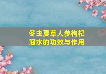 冬虫夏草人参枸杞泡水的功效与作用