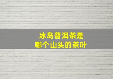 冰岛普洱茶是哪个山头的茶叶