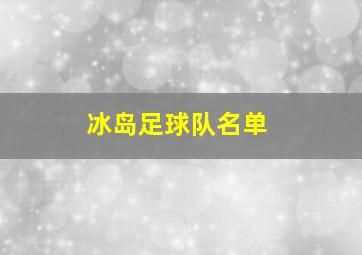 冰岛足球队名单