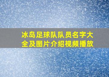 冰岛足球队队员名字大全及图片介绍视频播放