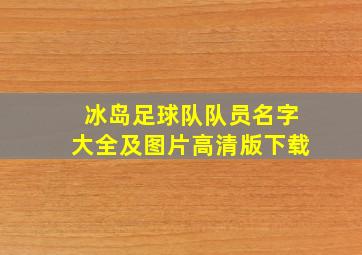 冰岛足球队队员名字大全及图片高清版下载