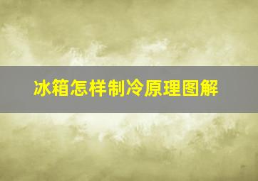 冰箱怎样制冷原理图解