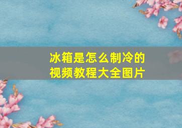 冰箱是怎么制冷的视频教程大全图片