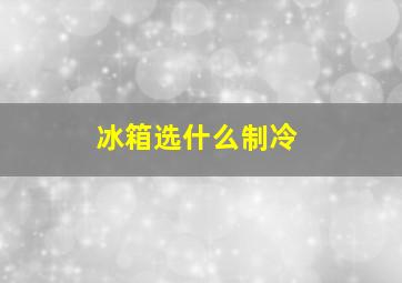 冰箱选什么制冷