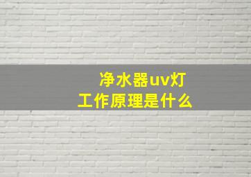 净水器uv灯工作原理是什么