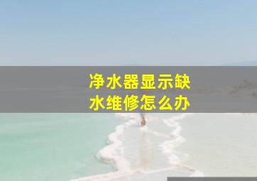 净水器显示缺水维修怎么办