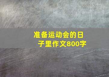 准备运动会的日子里作文800字