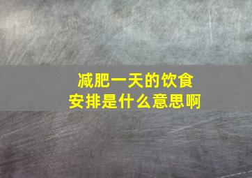 减肥一天的饮食安排是什么意思啊