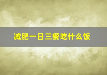 减肥一日三餐吃什么饭