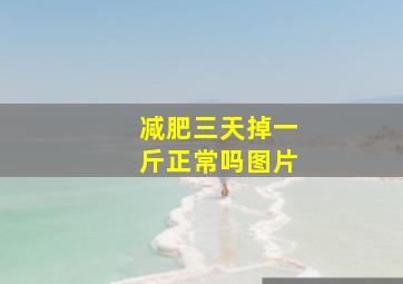 减肥三天掉一斤正常吗图片