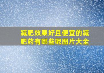 减肥效果好且便宜的减肥药有哪些呢图片大全