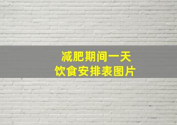 减肥期间一天饮食安排表图片