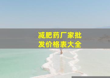 减肥药厂家批发价格表大全