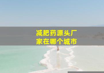 减肥药源头厂家在哪个城市