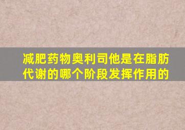 减肥药物奥利司他是在脂肪代谢的哪个阶段发挥作用的