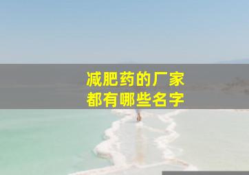 减肥药的厂家都有哪些名字